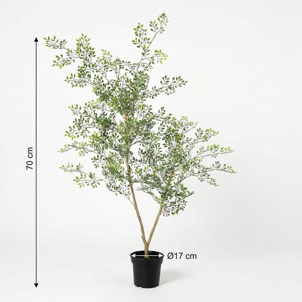 ARTIFICIAL Bucida – 71cm