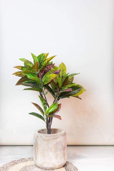 Codiaeum variegatum – Kroton – Groen – Kunstplant – Ø14cm – ↕120cm – 95 cm