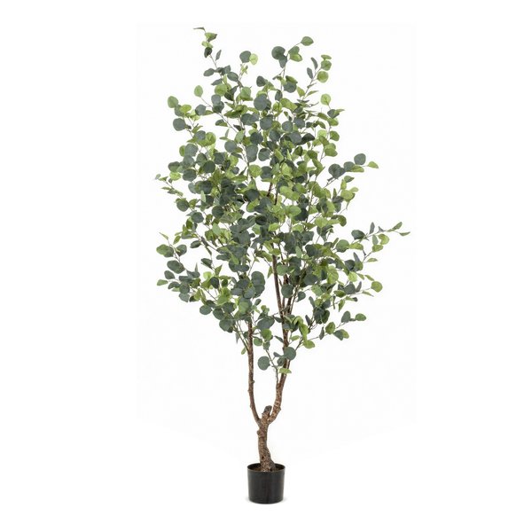 Kunstplant – Eucalyptus – Blauwe Gomboom – 180 cm