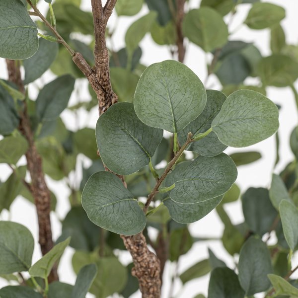 Kunstplant – Eucalyptus – Blauwe Gomboom – 180 cm