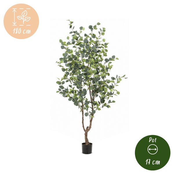 Kunstplant – Eucalyptus – Blauwe Gomboom – 180 cm