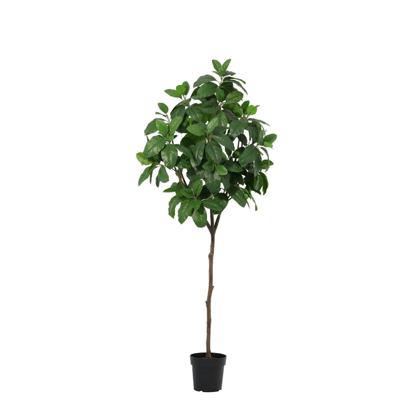 ARTIFICIAL Magnolia – 190cm