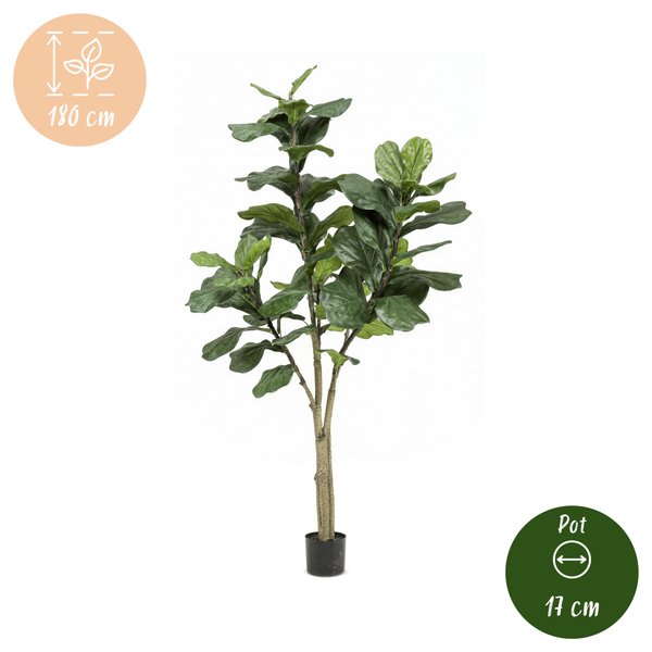 Kunstplant – Ficus Lyrata – Tabaksplant – 180 cm