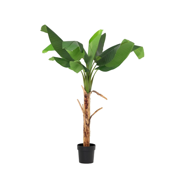 Kunstplant – Bananenplant Musa – 150cm
