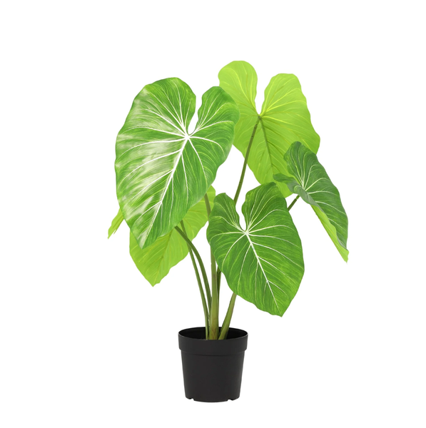 ARTIFICIAL Philodendron – 100cm