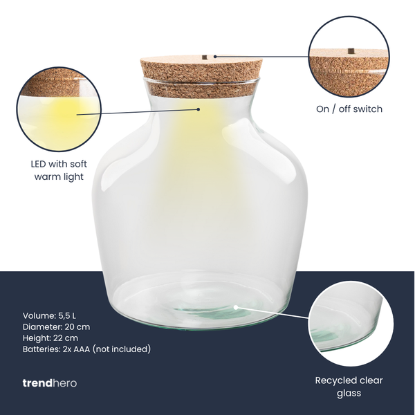 Terrarium fles met verlichting – Little Joe – Ø 20 cm ↑ 22 cm