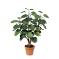 ARTIFICIAL Polysicas Fabian – 55cm