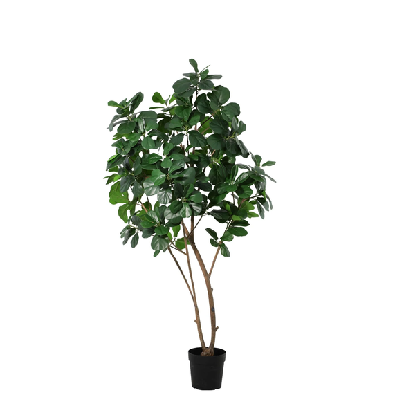 ARTIFICIAL Ficus Lyrata boom – 180cm