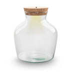 Terrarium fles met verlichting – Little Joe – Ø 20 cm ↑ 22 cm