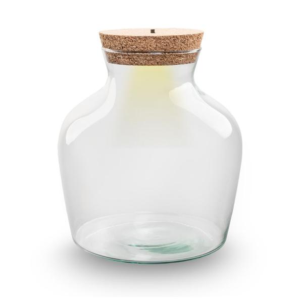 Terrarium fles met verlichting – Little Joe – Ø 20 cm ↑ 22 cm