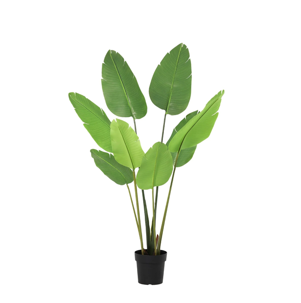 ARTIFICIAL Strelitzia Nicolai – 155cm