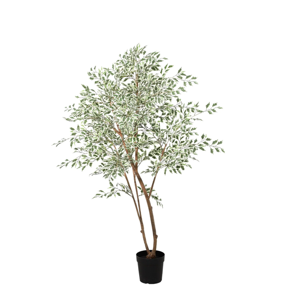 ARTIFICIAL Ficus benjamina variegata – 185cm