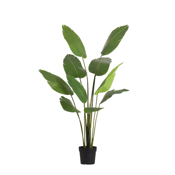 ARTIFICIAL Strelitzia Nicolai – 180cm