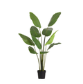 ARTIFICIAL Strelitzia Nicolai – 180cm