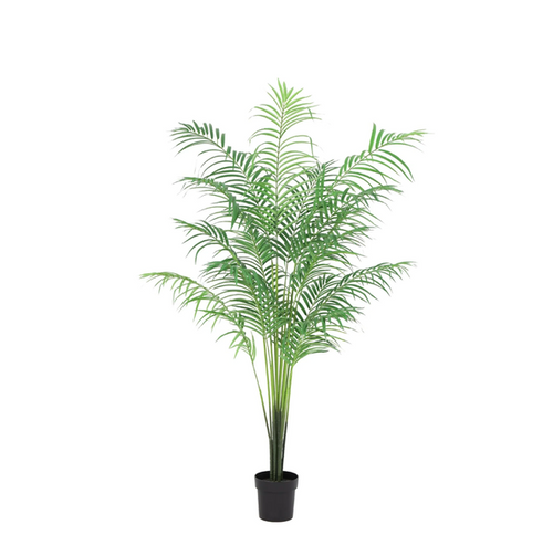ARTIFICIAL Kentia palm – 170cm