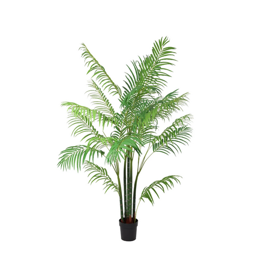 ARTIFICIAL Areca – 190cm