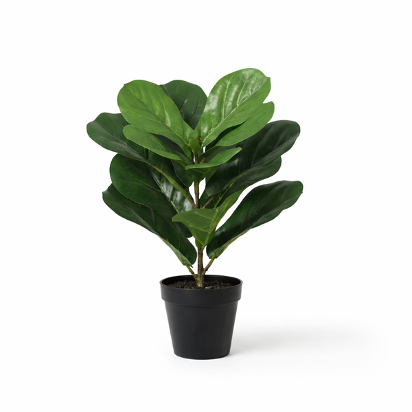 ARTIFICIAL Ficus lyrata – 40cm