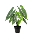 ARTIFICIAL Alocasia Polly – 40cm