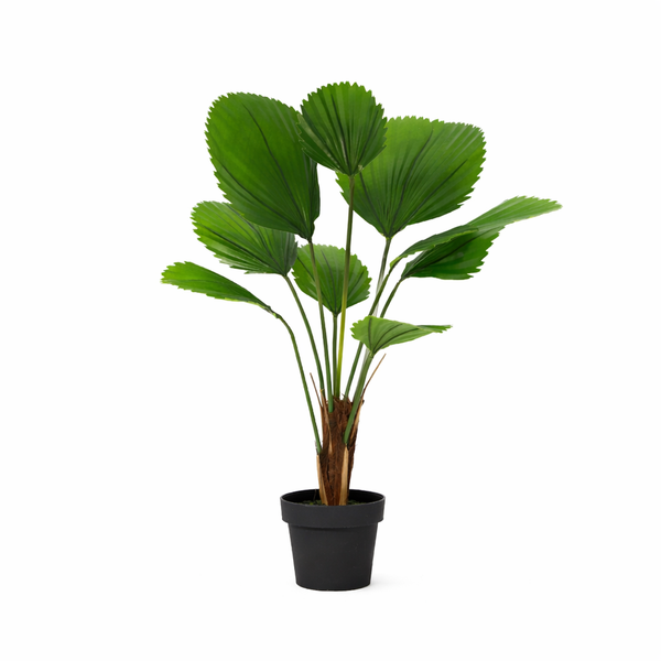 ARTIFICIAL Licuala Grandis – 104cm