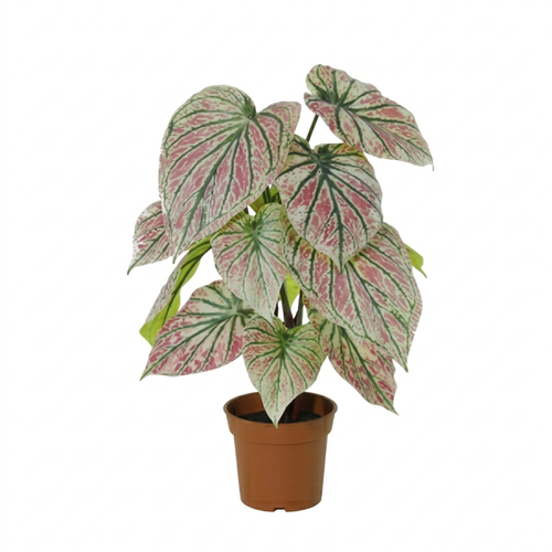 ARTIFICIAL Caladium green / pink – 57cm
