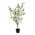 ARTIFICIAL Myrtus – 83cm
