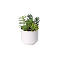 ARTIFICIAL Succelent including white pot – 19cm