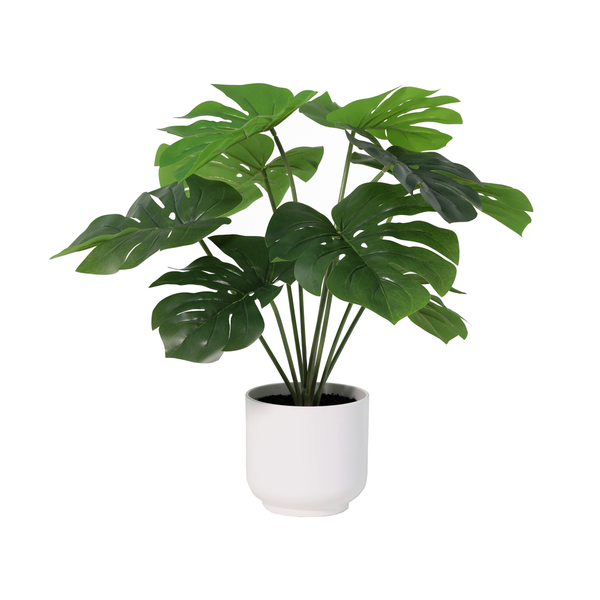 ARTIFICIAL Monstera Deliciosa including white pot – 50cm
