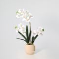 ARTIFICIAL Phalaenopsis orchid including pot – 71cm