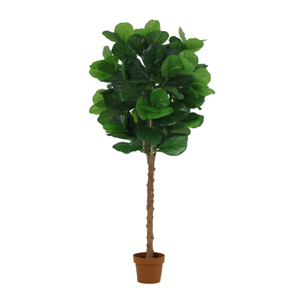 ARTIFICIAL Ficus lyrata tree – 160cm