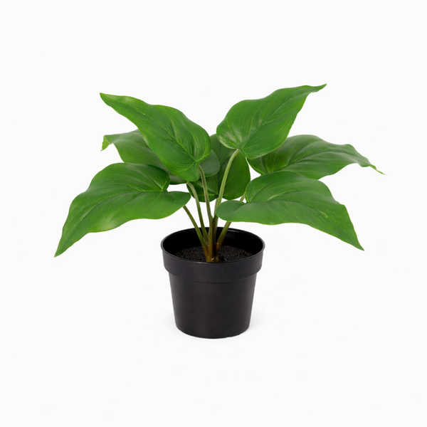 ARTIFICIAL Philodendron Imperial Green – 25cm