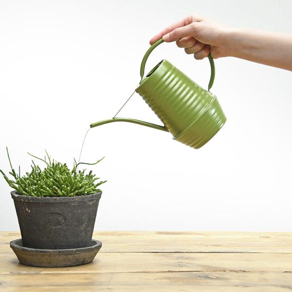 Bloemengieter – Zink – 1 liter – Groen
