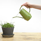 Bloemengieter – Zink – 1 liter – Groen