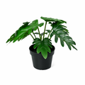 Kunstplant Philodendron Xanadu 20 cm – Tropische Groene Plant