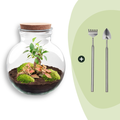 DIY Planten terrarium (met licht) – Teddy Bonsai – Ø 25 cm ↑ 26,5 cm – Rake + Shovel