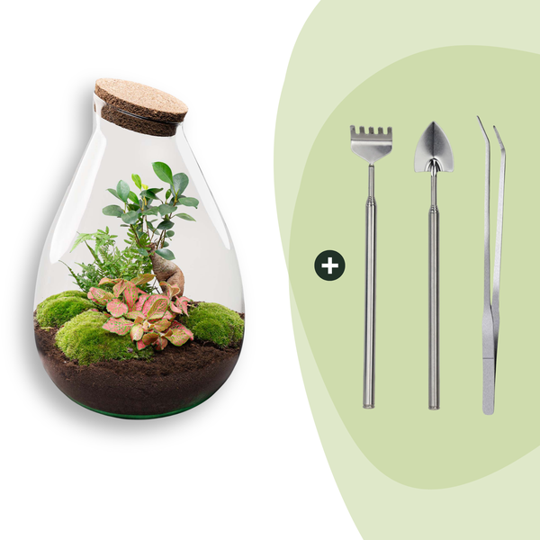 DIY Planten terrarium – Drop XL Bonsai ‘red’ – Ø 24 cm ↑ 37 cm – Rake + Shovel + Tweezer