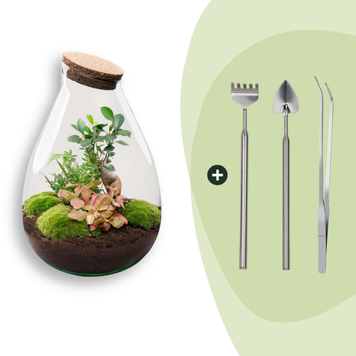 DIY Planten terrarium – Drop XL Bonsai ‘red’ – Ø 24 cm ↑ 37 cm – Rake + Shovel + Tweezer