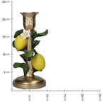 Kandelaar met Citroenplant – ↑ 22 cm