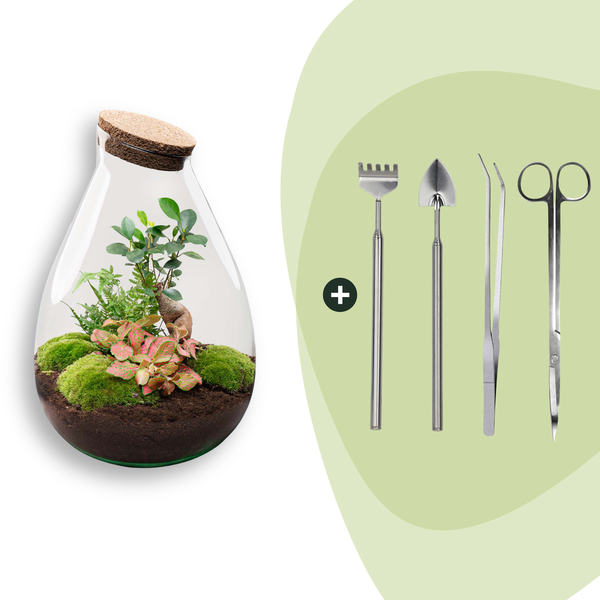 DIY Planten terrarium – Drop XL Bonsai ‘red’ – Ø 24 cm ↑ 37 cm – Rake + Shovel + Tweezer + Scissors