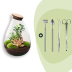 DIY Planten terrarium – Drop XL Bonsai ‘red’ – Ø 24 cm ↑ 37 cm – Rake + Shovel + Tweezer + Scissors