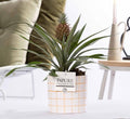 Ananas Rosita In P&PURE Tirza Ceramics – Ø12cm – ↕35cm