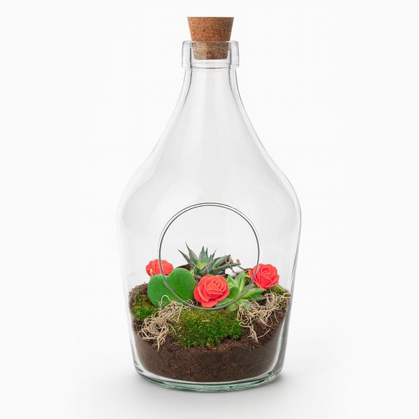 Love in a Bottle – DIY Open Planten terrarium – Ø 16 cm ↑ 30 cm