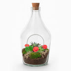 Love in a Bottle – DIY Open Planten terrarium – Ø 16 cm ↑ 30 cm