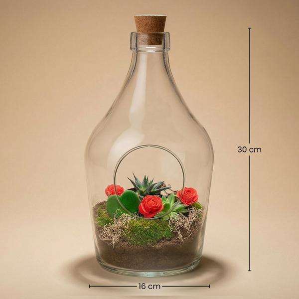 Love in a Bottle – DIY Open Planten terrarium – Ø 16 cm ↑ 30 cm