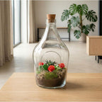 Love in a Bottle – DIY Open Planten terrarium – Ø 16 cm ↑ 30 cm