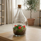 Love in a Bottle – DIY Open Planten terrarium – Ø 16 cm ↑ 30 cm