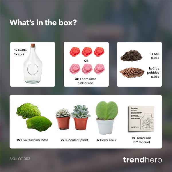 Love in a Bottle – DIY Open Planten terrarium – Ø 16 cm ↑ 30 cm