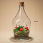 Love in a Bottle – DIY Open Planten terrarium – Ø 16 cm ↑ 30 cm
