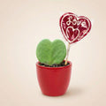 Sweetheart Plant Set – Groene Mini Gift – Pot & Plant Set – Rood