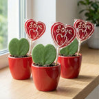 Sweetheart Plant Set – Groene Mini Gift – Pot & Plant Set – Rood