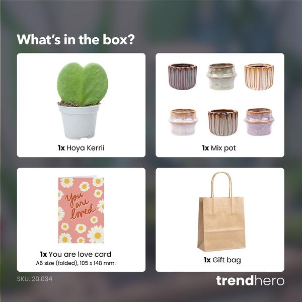 Cadeauset – Love Set – Hartjesplant, pot, wenskaart & geschenktasje